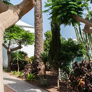 https://acogedor-bungalow-muy-luminoso.in-canary-islands.com